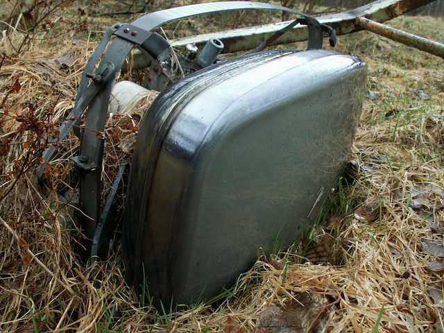 Fremtidens tv-oplevelse: Derfor vælger flere danskere mit tv2